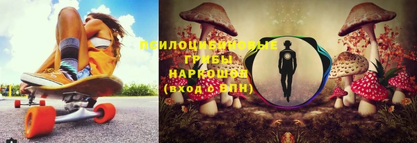 гидра Балабаново