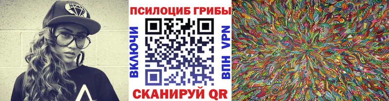 Галлюциногенные грибы ЛСД  как найти закладки  Покровск 